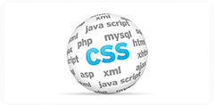 CSS Customization