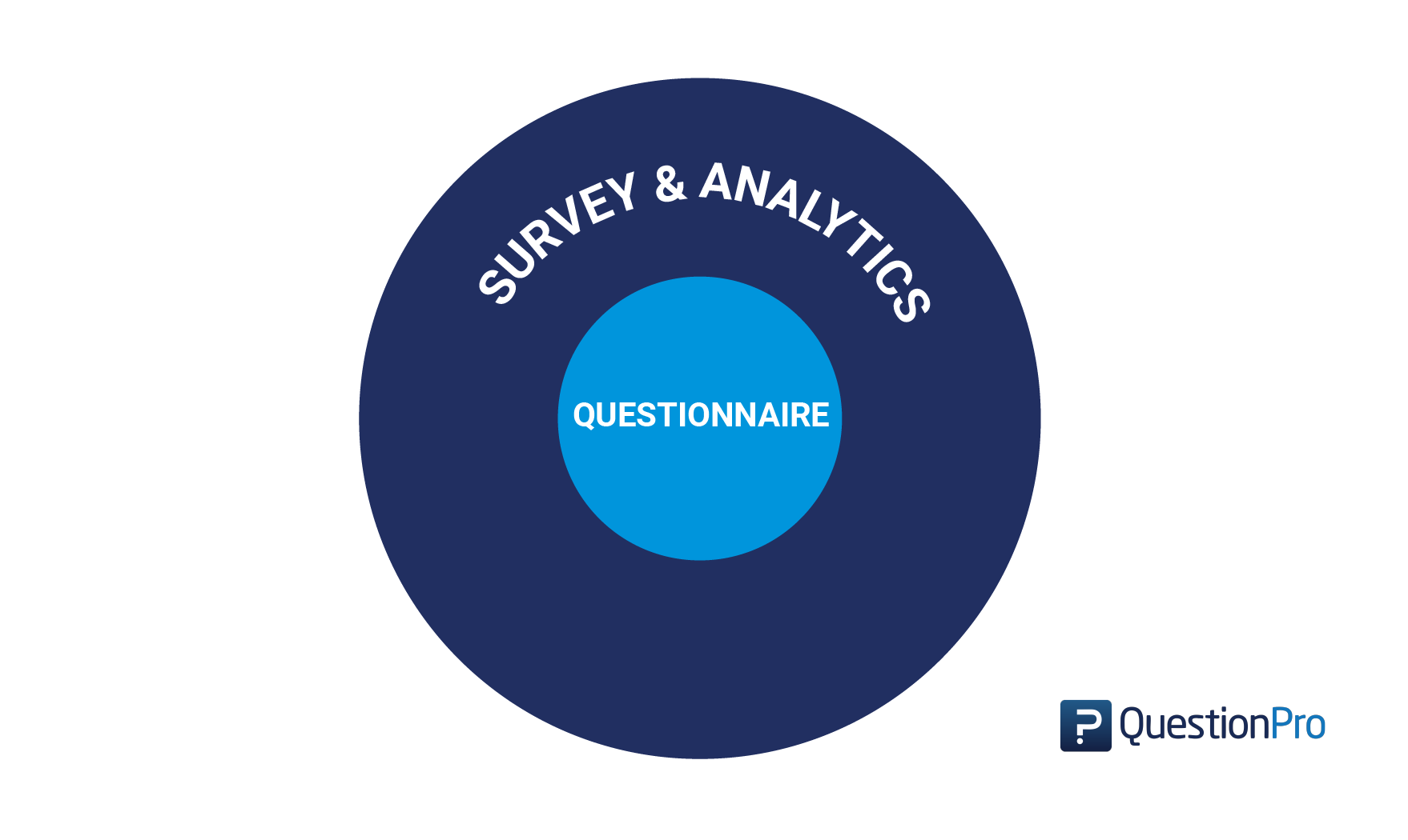 What Is A Survey (or Questionnaire)?
