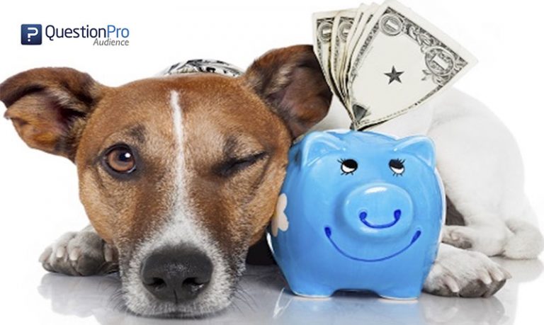 What Your Veterinarian Should Tell You Before Tax Day | Questionpro