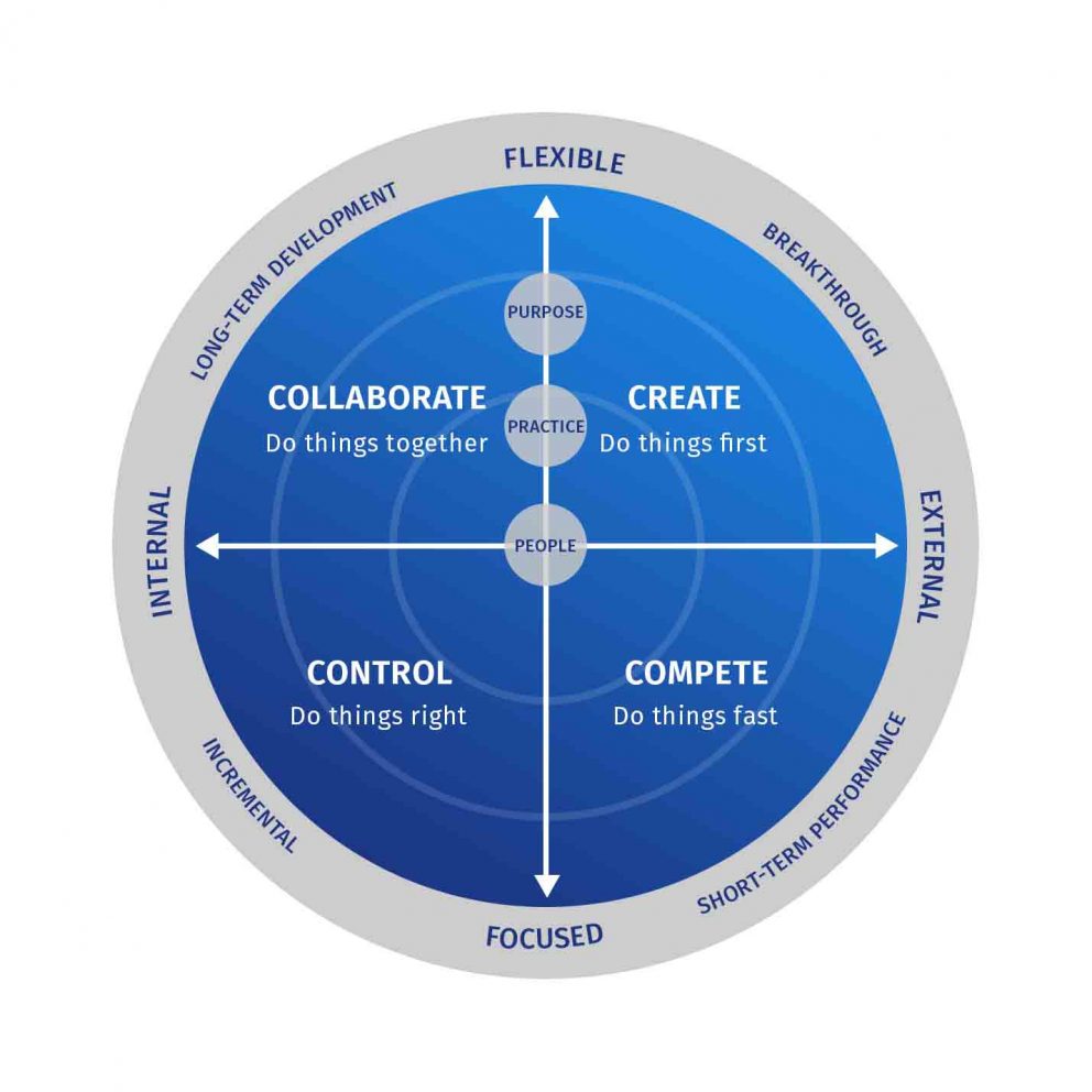 culture-assessment-definition-framework-types-of-culture-and