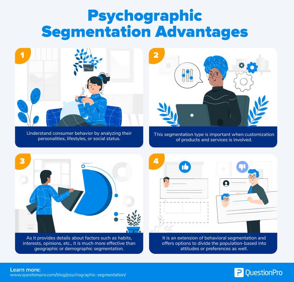 Psychographic Segmentation: Definition, Variables & Examples (2023)