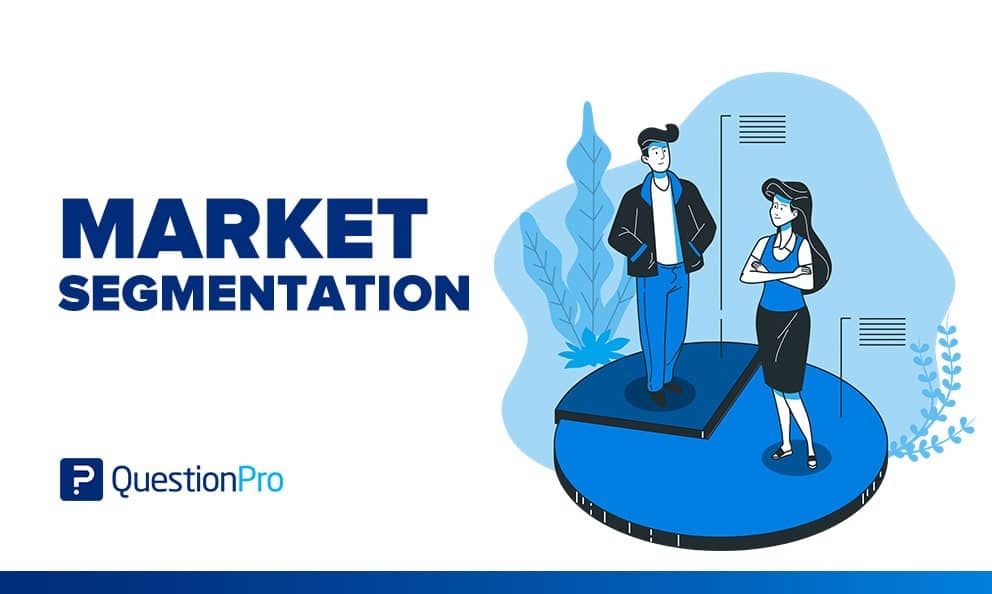 Market segmentation: What it is, Types & Examples | QuestionPro