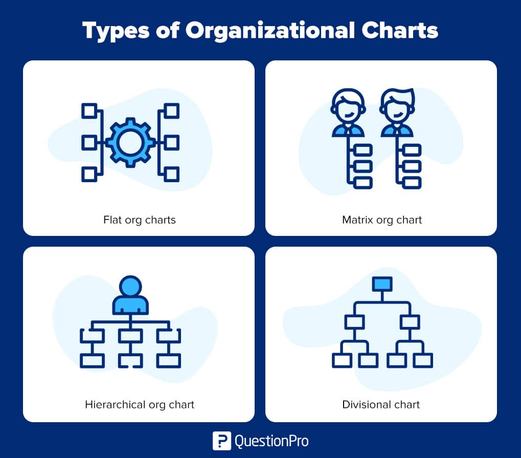 7 Types Of Organizational Structures Lucidchart Blog - vrogue.co