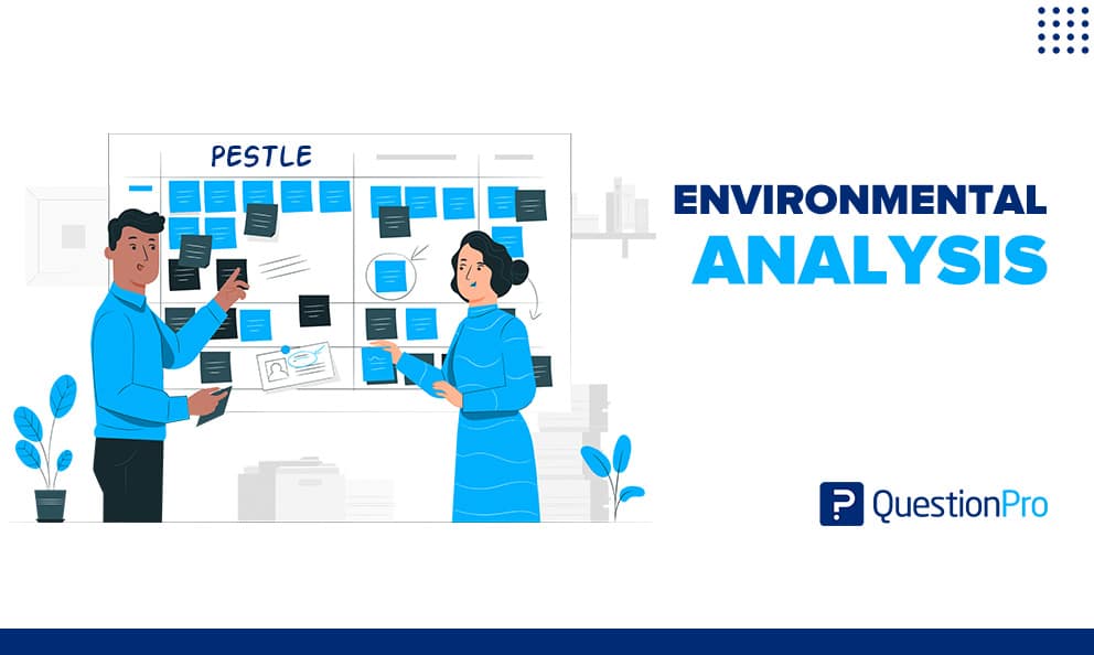 business plan analyse de l'environnement