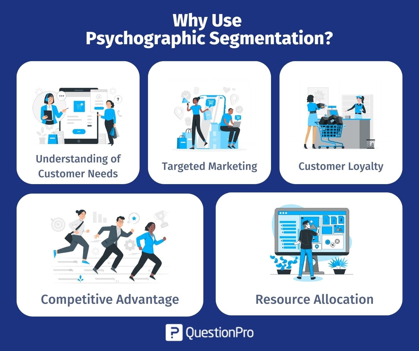 Psychographic Segmentation Definition, Variables & Examples