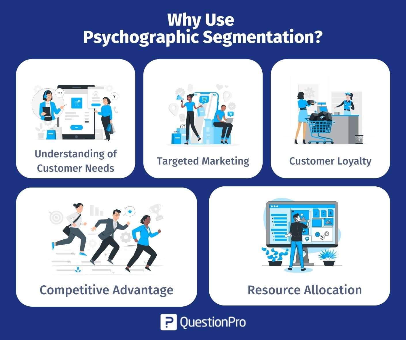 Psychographic Segmentation Definition Variables Examples