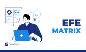 The EFE matrix helps businesses identify benefits and dangers. This blog will help use the EFE Matrix to stay ahead in today's dynamic world.