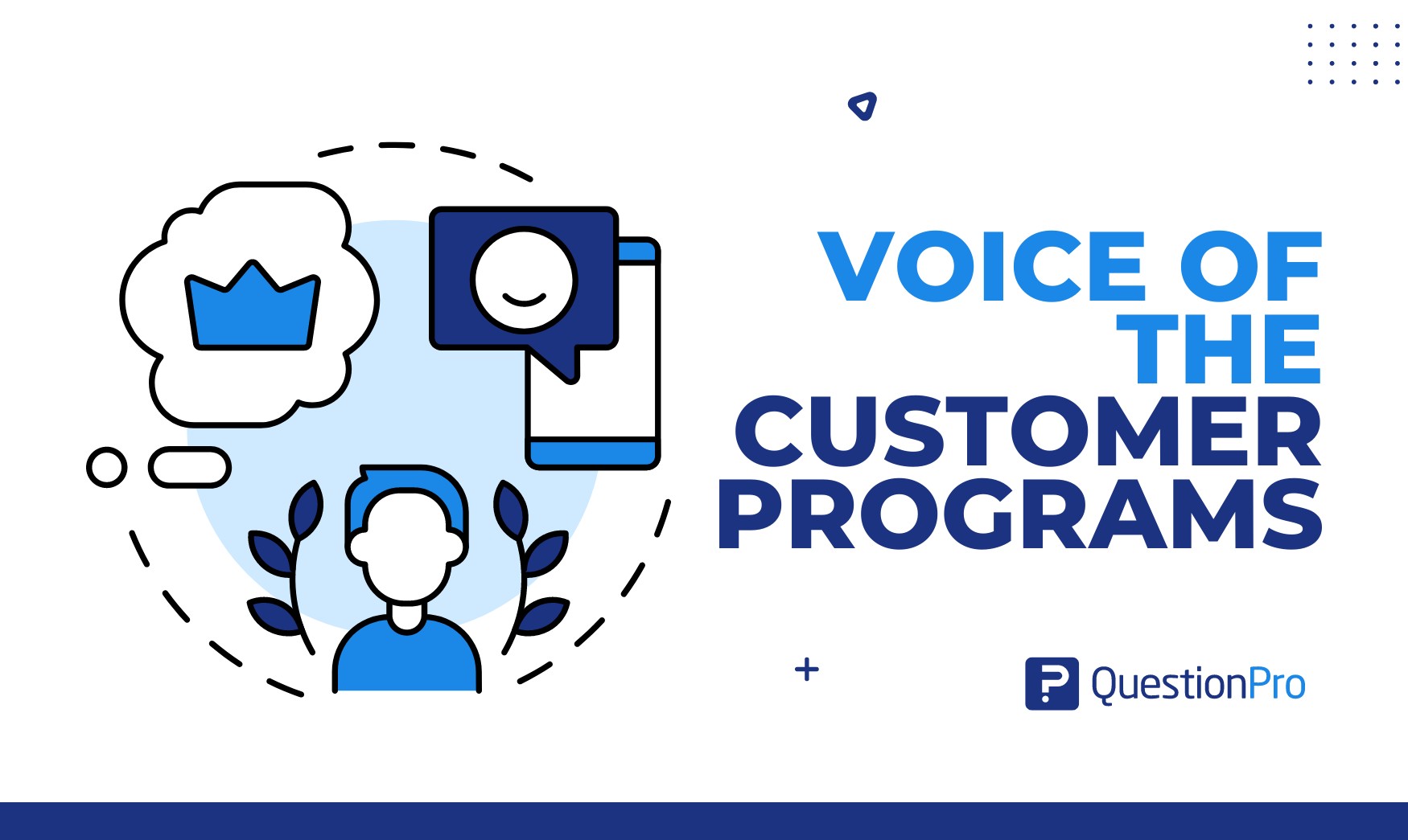 voice of the customer programs