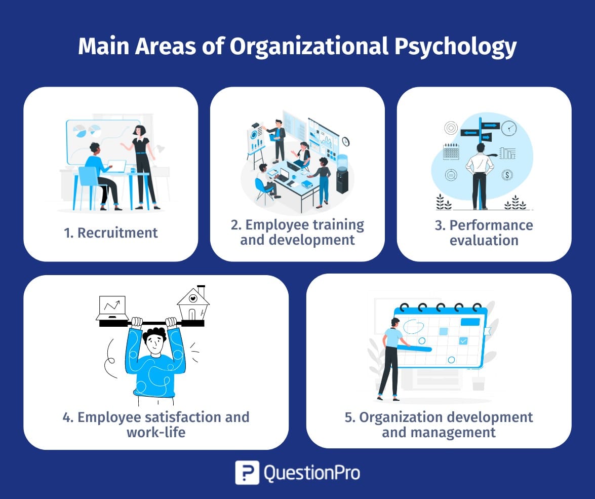 Main Areas of Organizational Psychology