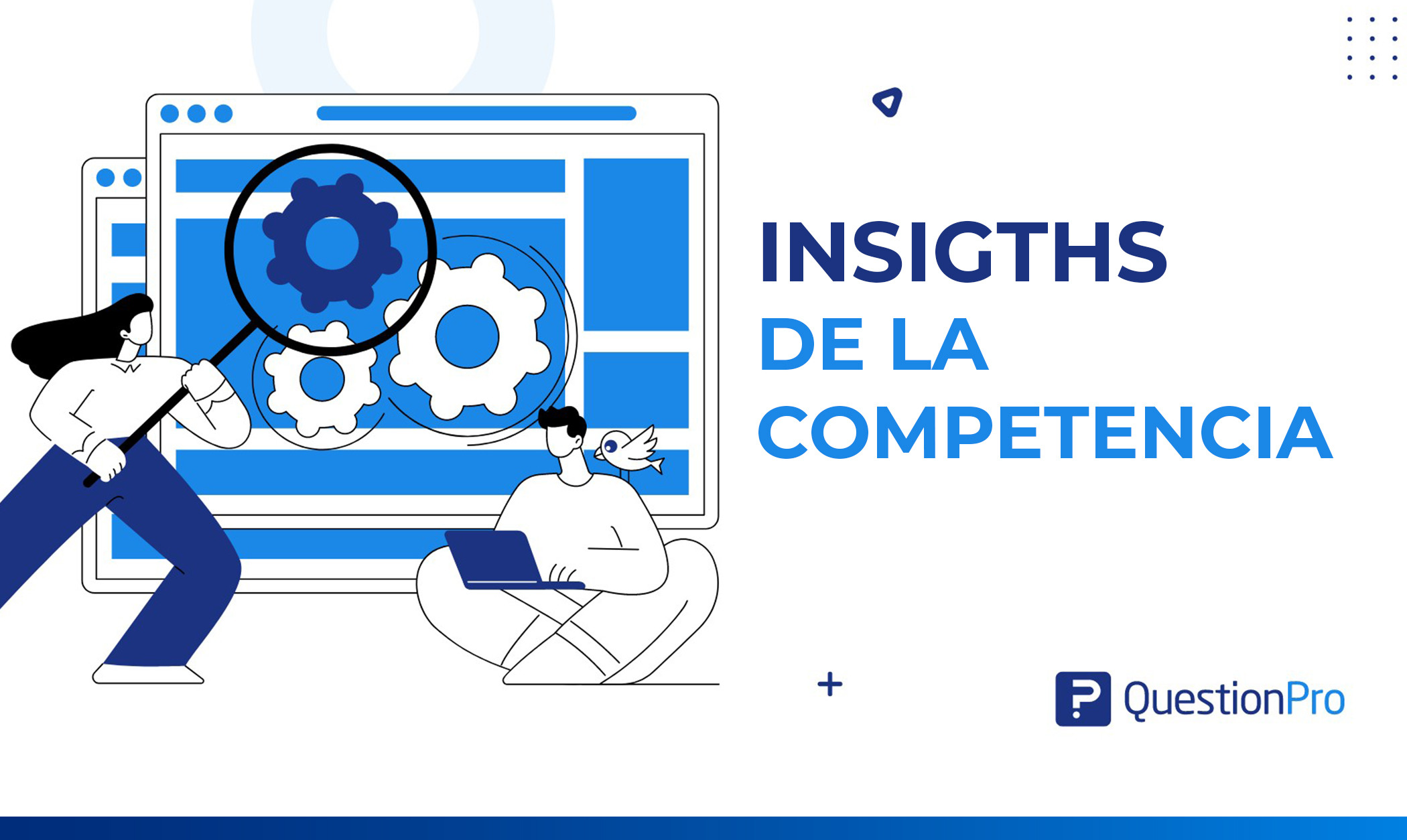 Insights de la competencia