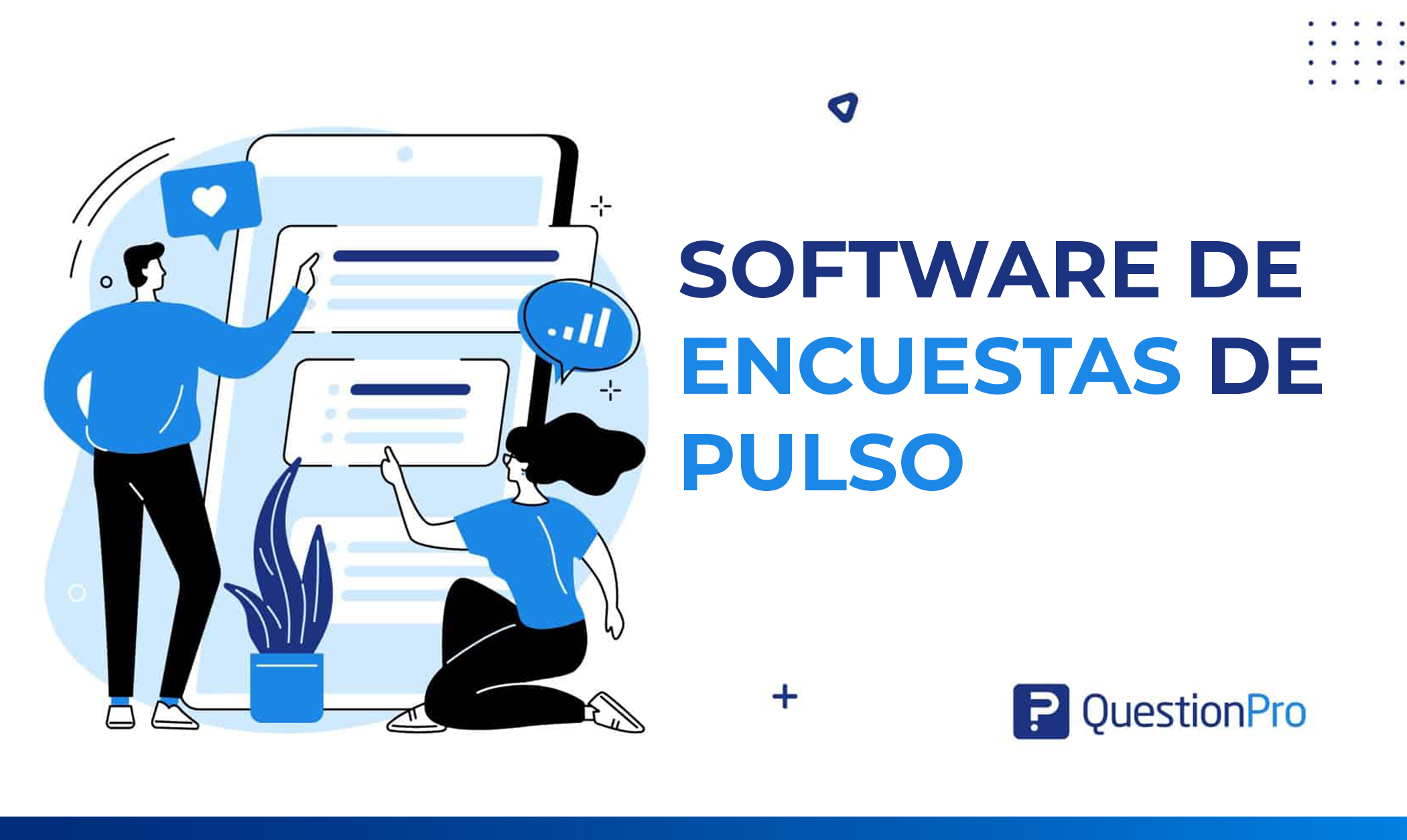 Software de encuestas de pulso