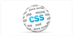CSS Customization
