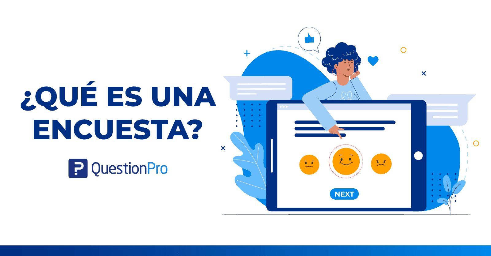 Encuesta Questionpro 2164